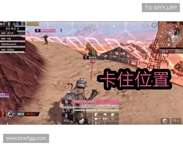 和平精英热议：WE战队耐力表现引发的争议与讨论