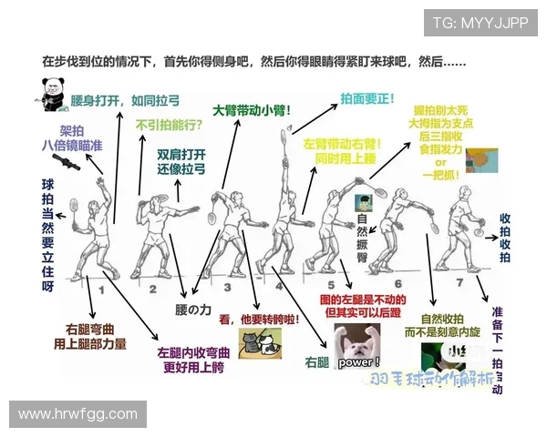 杭州羽毛球队默契配合的关键因素与战术分析探讨