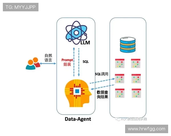 深入探讨上海足球队球员个人能力表现的数据分析与趋势研究