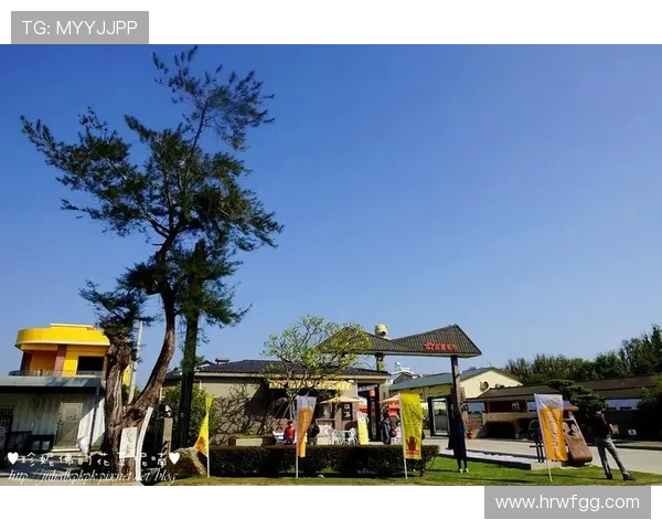 深度对话陈军排球人生的起伏与坚持探索运动背后的故事