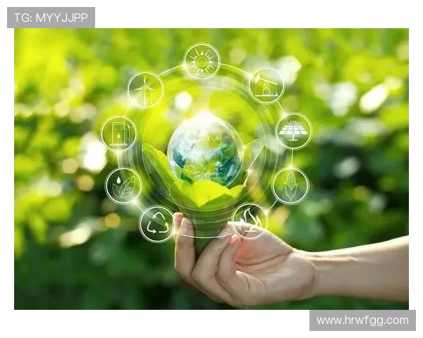 杭州乒乓球队逆袭之路:创新策略与团队协作的成功探索