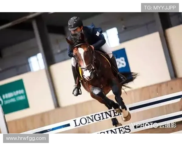 TES在大师赛中的个人能力分析与表现评估