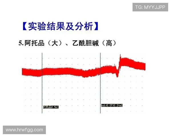 北京滑板队速度表现分析及其对比赛成绩的影响研究
