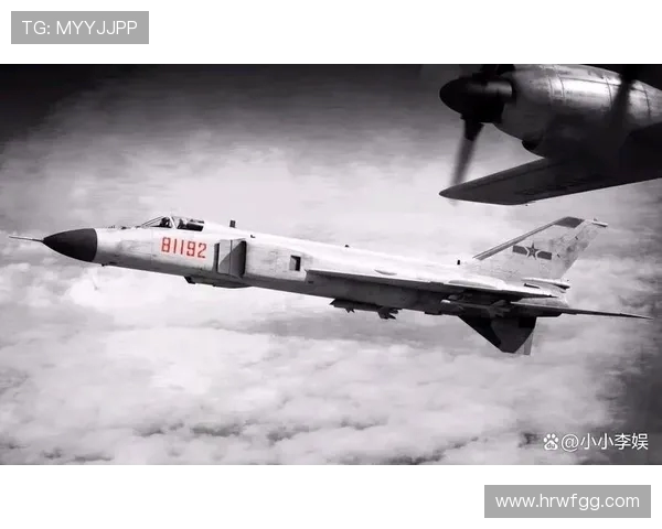 杭州排球队的蜕变之路：从传统强队到世界舞台的崛起之旅